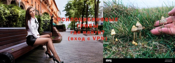 хмурый Семилуки