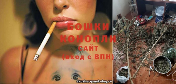 хмурый Семилуки