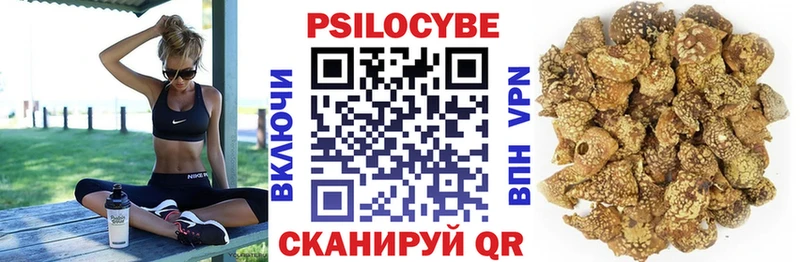 где найти   Шарья  Галлюциногенные грибы Cubensis 