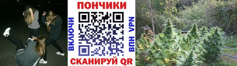 Марихуана OG Kush  Шарья 